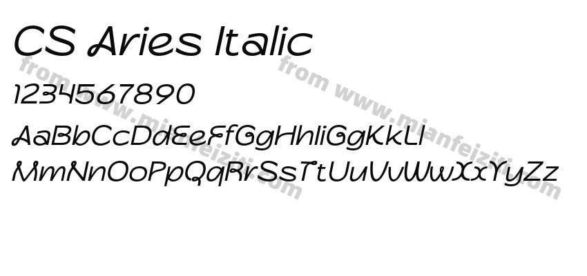 CS Aries Italic预览图2