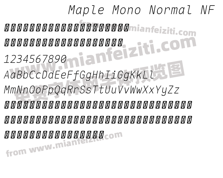 Maple Mono Normal NF Thin Italic预览图2