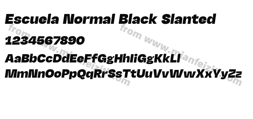 Escuela Normal Black Slanted预览图2
