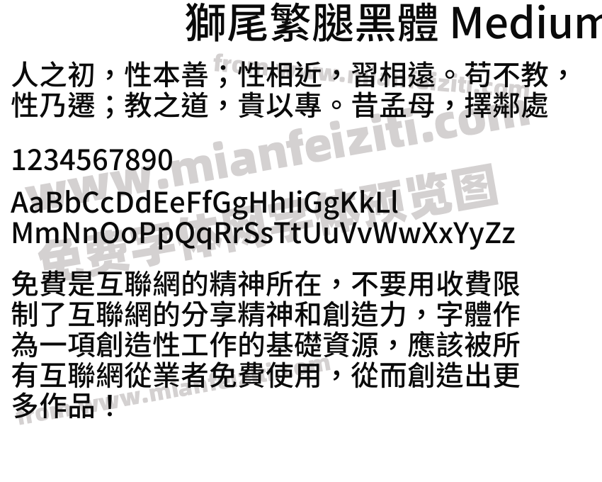 獅尾繁腿黑體 Medium预览图2