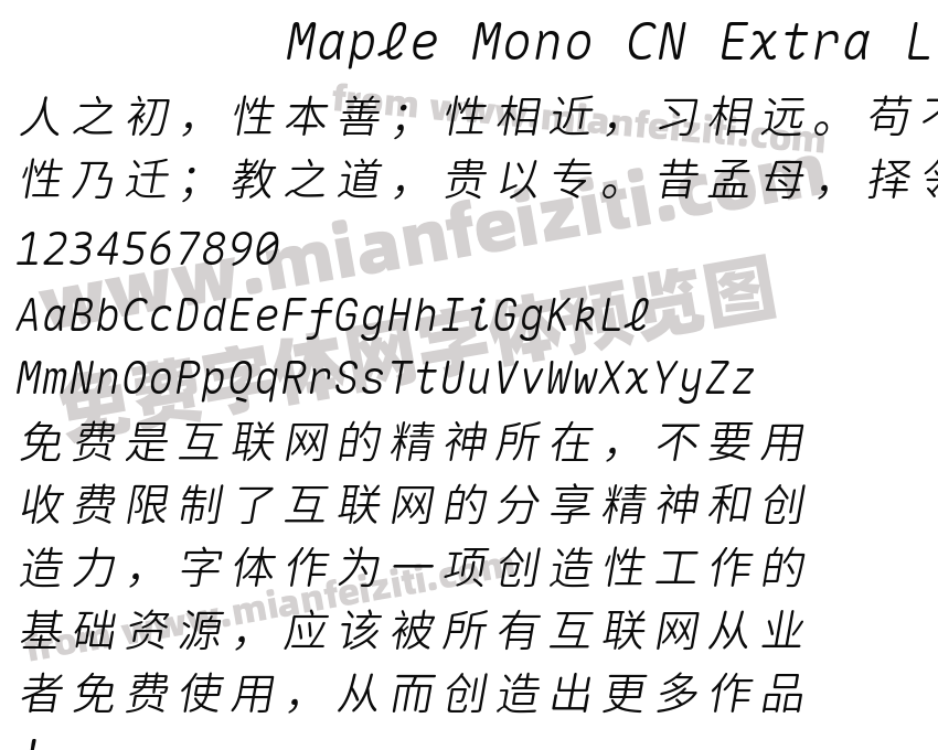 Maple Mono CN Extra Light Italic预览图2