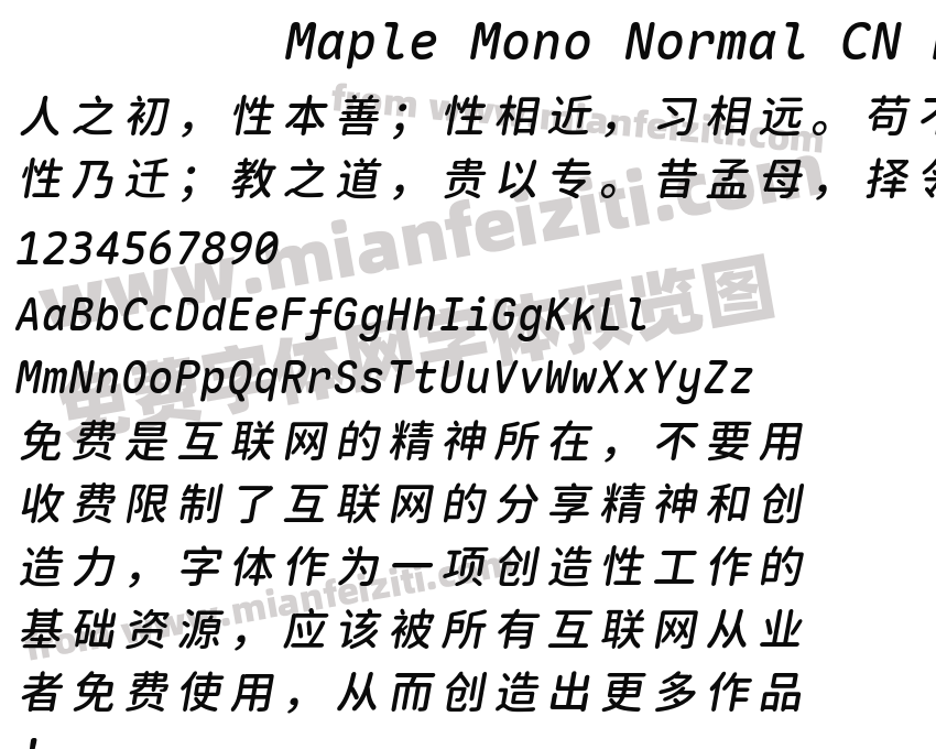 Maple Mono Normal CN Medium Italic预览图2