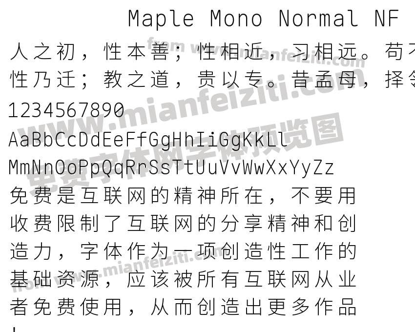 Maple Mono Normal NF CN Thin预览图2