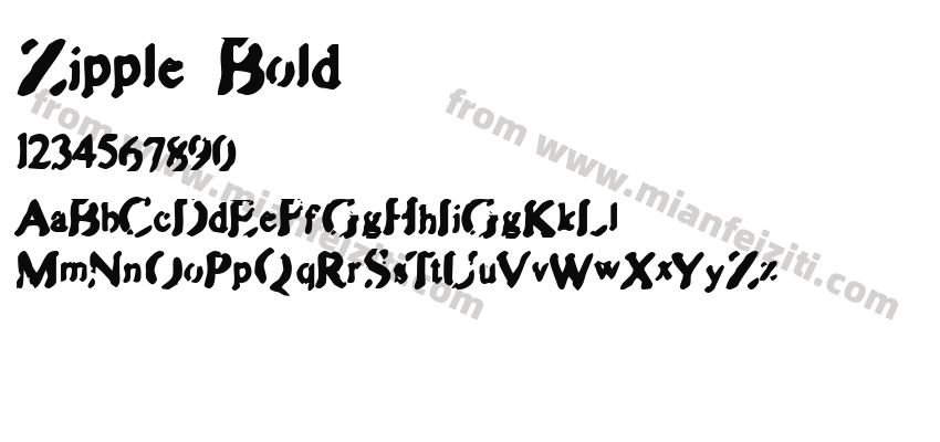 Zipple Bold预览图2