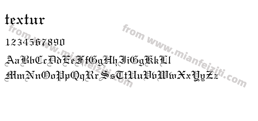 Textur Regular预览图2