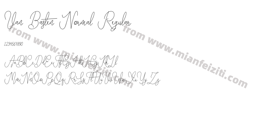 Van Basten Normal Regular预览图2