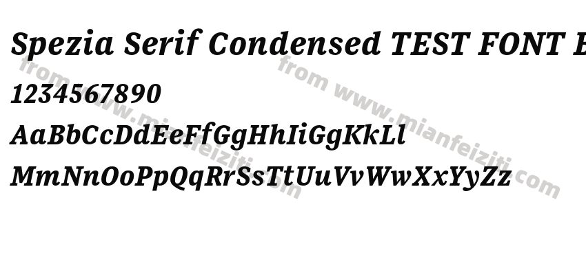 Spezia Serif Condensed TEST FONT Bold Italic D预览图2