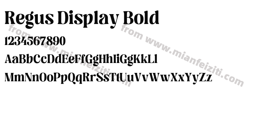 Regus Display Bold预览图2