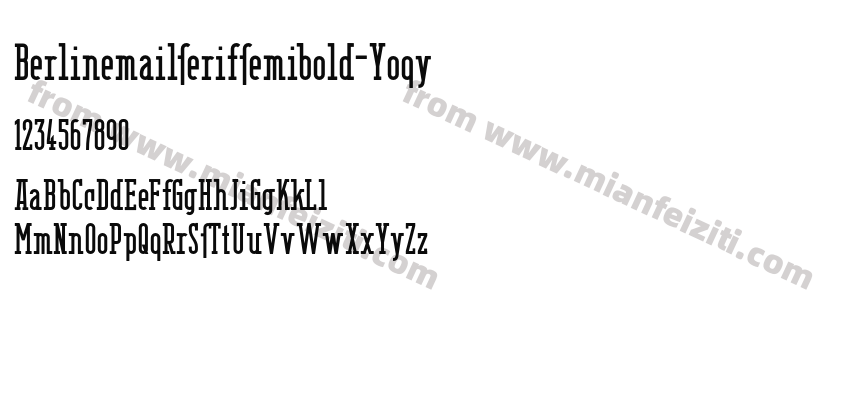 Berlinemailserifsemibold Yoqy预览图2